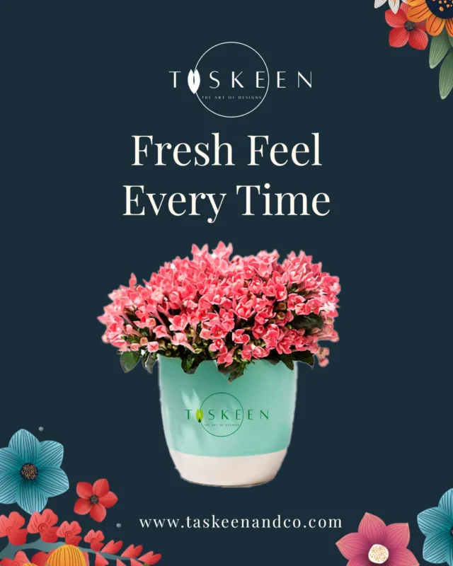 🌸 Brighten Your Space with Taskeen & Co! 🌸
Looking for the perfect floral touch? 🌿✨ At Taskeen & Co, we bring you the freshest blooms and elegant designs to elevate your home, office, and special moments!

💐 Why Choose Us?
✔️ Handpicked premium flowers 🌷
✔️ Unique, artistic floral arrangements 🎨
✔️ Perfect for gifts, décor, and events 🎁
✔️ Hassle-free online ordering & delivery 🚚

🌿 Let nature’s beauty bloom in your life! 🌿

📍 Visit us: www.taskeenandco.com
📷 Follow us: #moreandmore #taskeenandco #Gifts

Tag someone who needs a little floral magic today! 💕✨ #TaskeenAndCo #FloralDesigns #flowerlovers